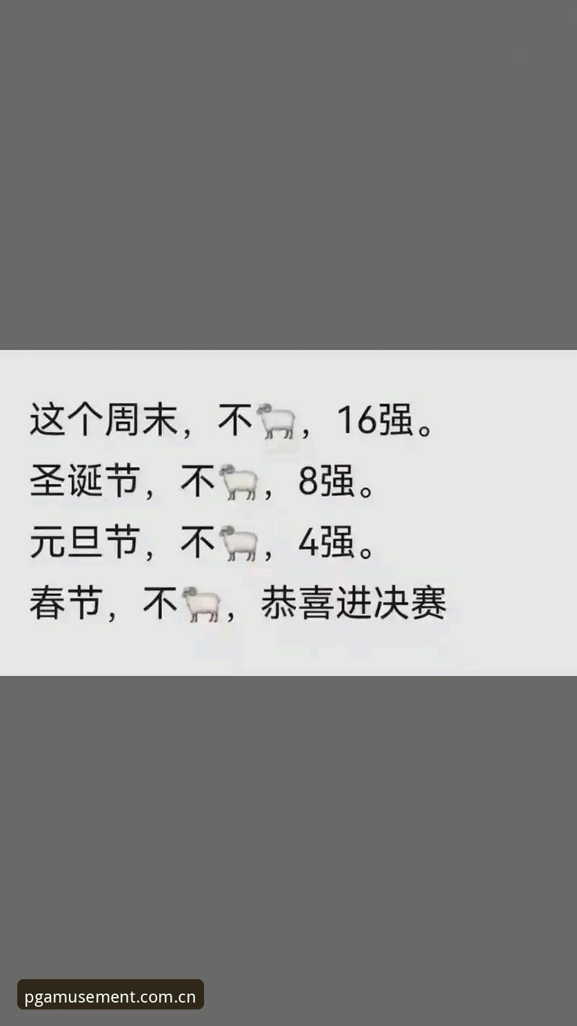 世界杯观赛签证难题解决指南——基于PG娱乐平台用户的实战分析
