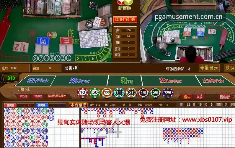 PG娱乐平台真的安全吗？如何辨别正规入口与潜在风险？